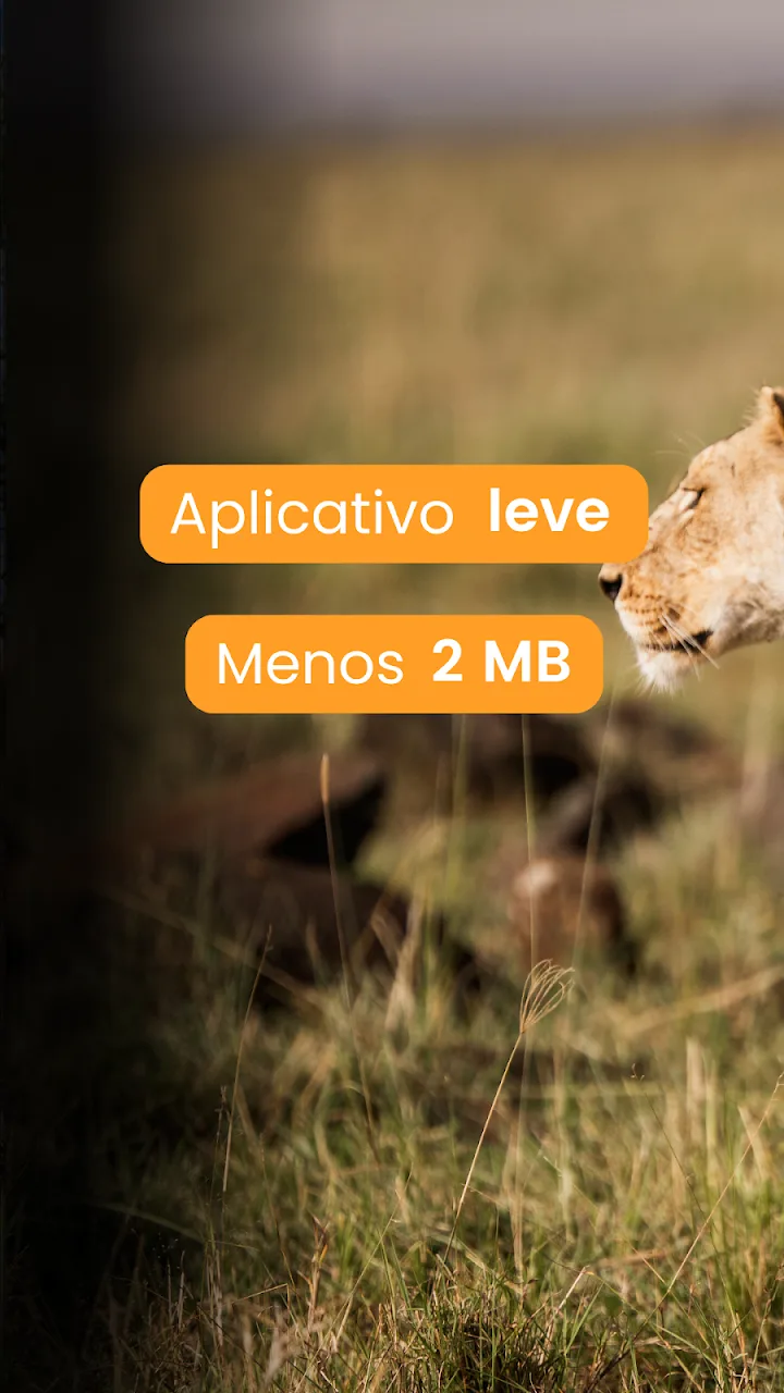 Leve: menos de 2 MB